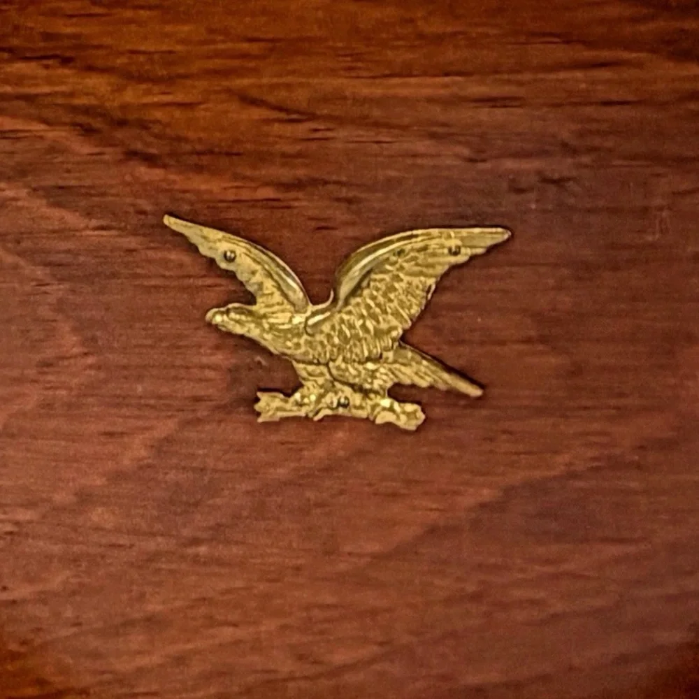 Woodcroftery americana eagle